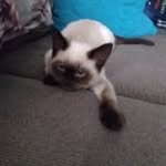 Dena Mills - @denamills170 - Instagram