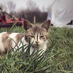 Dena Noël - @dena.noel.142 - Instagram