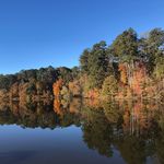 Dena Williams Pruitt - @denawilliamspruitt - Instagram