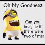 Dena Reed - @zoomie2000 - Instagram