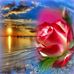 Dena Richardson - Facebook