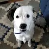 Dena Shea - @denshea - TikTok