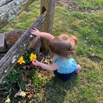 Dena Snyder Dalmas - @jelibeanadena - Instagram