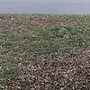 denastackhouse - @denastackhouse - TikTok