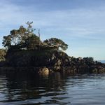 Dena Stephenson - @halfmoonbaydena - Instagram