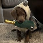 Dena Fayne Stevens - @1slaterdog - Instagram