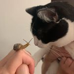 Dena Swank - @gary_and_friends1 - Instagram
