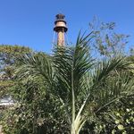 Dena Swanson - @swaney626 - Instagram