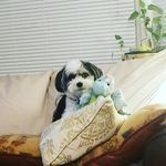 Dena Sweeney - @aegreatstuff - Instagram