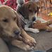 Dena Sweeney - Facebook