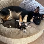 Dena Taylor - @dinkyness - Instagram