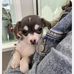 Dena Taylor - Facebook