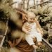 Dena Salmons - Facebook