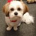 Dena Wilkinson - Facebook
