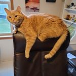 Dena Witt - @denamw2021 - Instagram