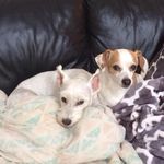 Dena Frye Wood - @dena.f.wood - Instagram