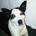 Daneen Thompson - Facebook
