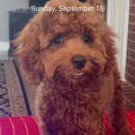Deneen White - @white_deneen - Instagram