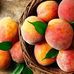 Denese Johnson - Facebook