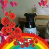 Denise Hall - @denise.hall38 - TikTok