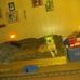 Denice Miller - Facebook