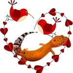 Denice Ray - @thegoldengeckosstore - Instagram