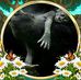 Denice Smith - Facebook
