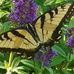 Denice Smith - Facebook