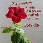 Denice Sotoriva - @denicesotoriva - Instagram