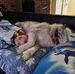 Denise Walker - Facebook