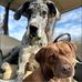 Denise Walker - Facebook