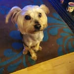 Denis Barry - @denis.barry.1980 - Instagram