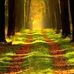 Denis Beauchamp - Facebook