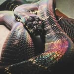 @_denis_blank_ - Instagram