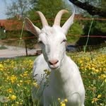 Denis Blank - @denisblank100 - Instagram