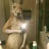 Denis Caballero - @deniscaballero - TikTok