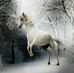 Denis El Caballero - Facebook