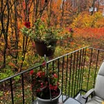 Denis Den Charron - @denis.charron3 - Instagram