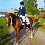 Dennis Chow - @h.thoennessen - Instagram