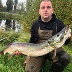 Denis Collins - @deniscollinsfisher - Instagram