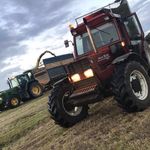 Denis Collins - @deniscollins44 - Instagram