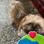 Denis Cunningham - Facebook