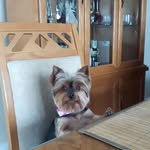Denis Cyr - @cyrdenis1966 - Instagram