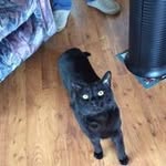 Denis Dubé - @denisdub68 - Instagram