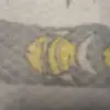 deniseduprat602 - @deniseduprat602 - TikTok