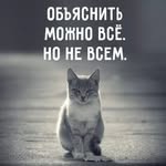 Денис Егоров - @denisegorov2950 - Instagram
