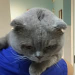 Денис Егоров - @denisegorovvet - Instagram