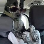 Denis Estrada - Facebook