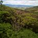 Denis Fahey - Facebook