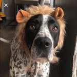 Denis Gendron - @denis.gendron.5070 - Instagram